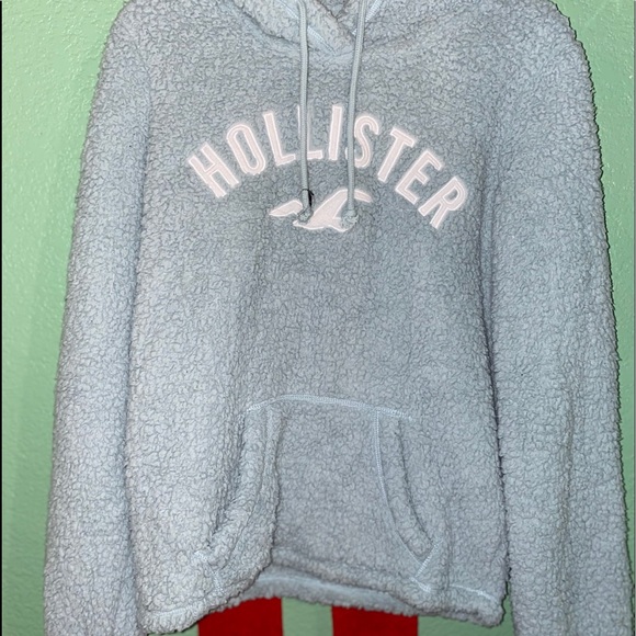 hollister teddy hoodie
